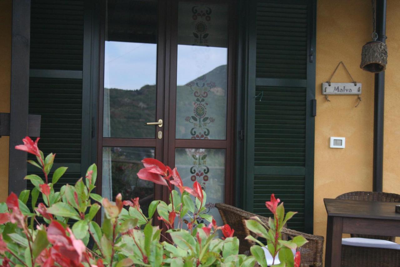 B&B Aloe Ranch Elba Rio dellʼElba Kültér fotó